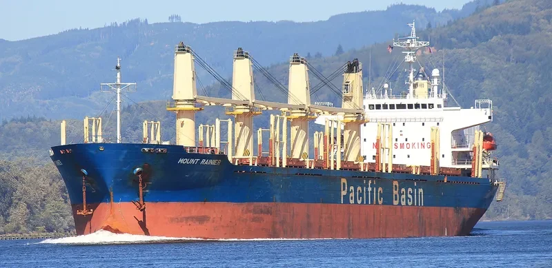 MOUNT RAINIER Bulk Carrier IMO 9336799 photo 4