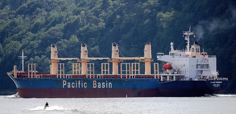 MOUNT RAINIER Bulk Carrier IMO 9336799 photo 5