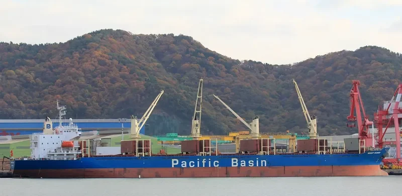 MOUNT RAINIER Bulk Carrier IMO 9336799 photo 6