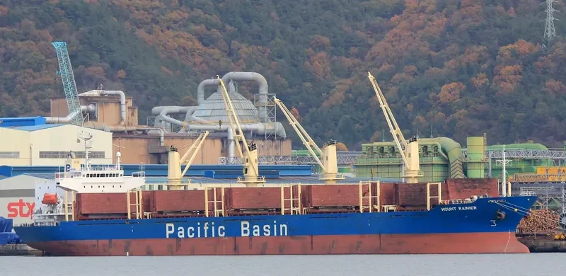 MOUNT RAINIER Bulk Carrier IMO 9336799 photo 7