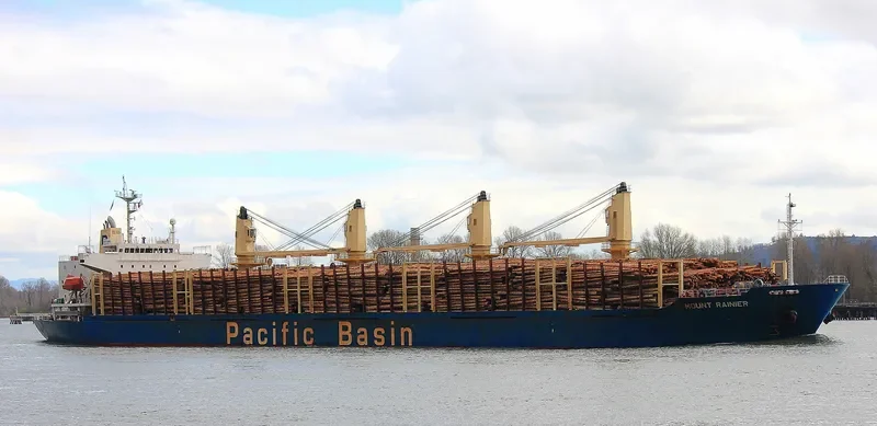 MOUNT RAINIER Bulk Carrier IMO 9336799 photo 8