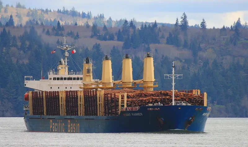 MOUNT RAINIER Bulk Carrier IMO 9336799 photo 9