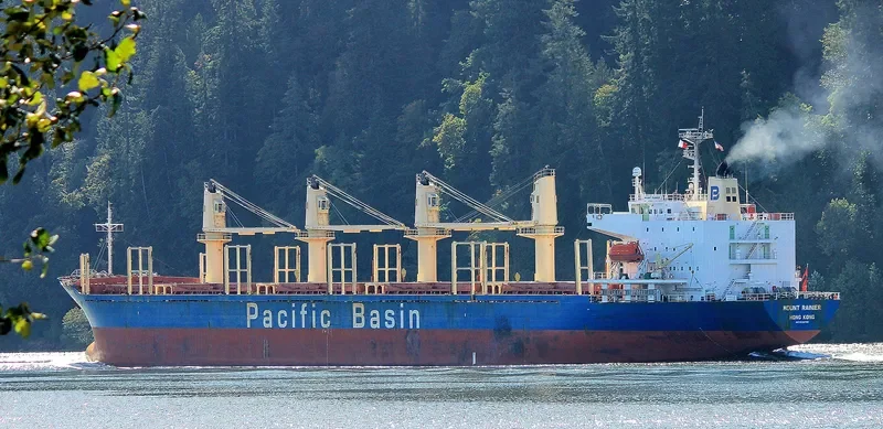 MOUNT RAINIER Bulk Carrier IMO 9336799 photo 10