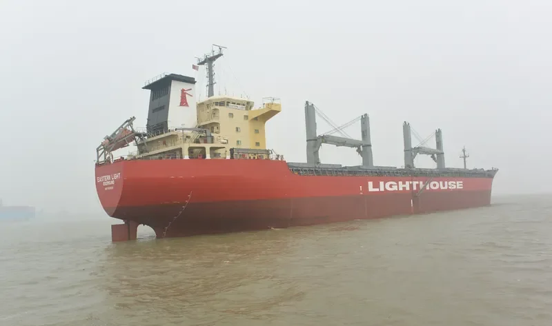 VICTORIA Bulk Carrier IMO 9336828 photo 3