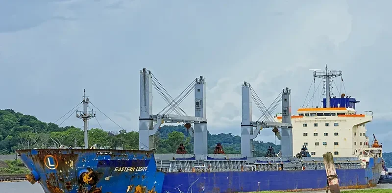 VICTORIA Bulk Carrier IMO 9336828 photo 6