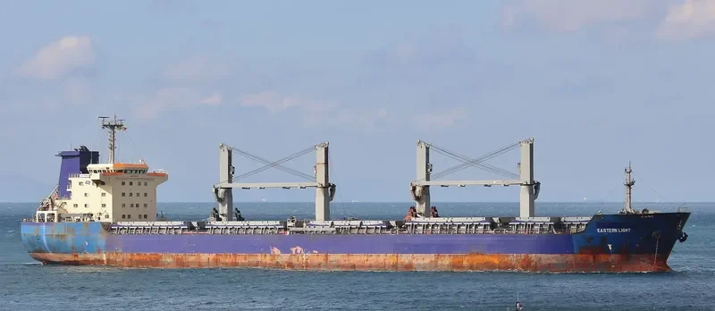 VICTORIA Bulk Carrier IMO 9336828 photo 7