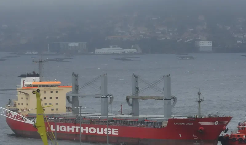 VICTORIA Bulk Carrier IMO 9336828 photo 9