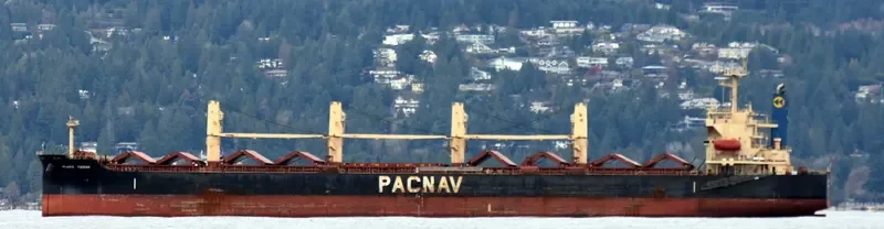 ATLANTIC YUCATAN Bulk Carrier IMO 9336854