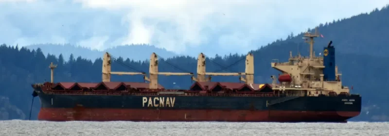 ATLANTIC YUCATAN Bulk Carrier IMO 9336854 photo 2