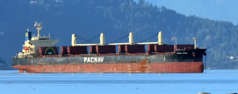 ATLANTIC YUCATAN Bulk Carrier IMO 9336854 photo 3