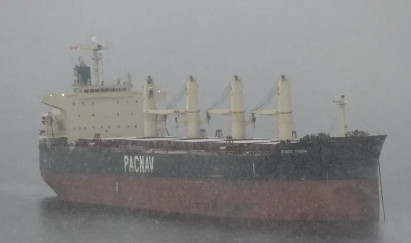 ATLANTIC YUCATAN Bulk Carrier IMO 9336854 photo 4