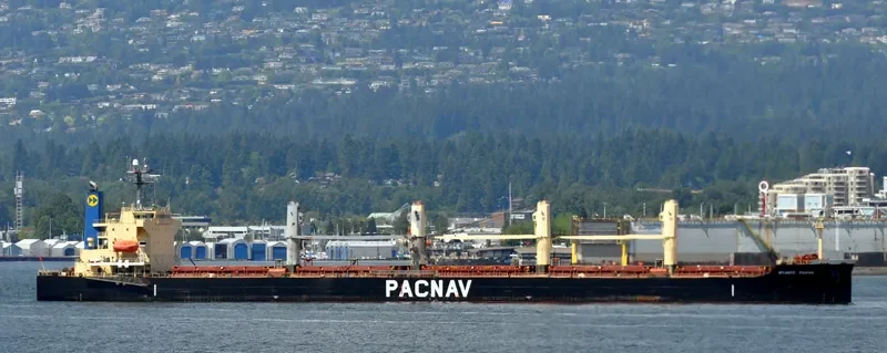 ATLANTIC YUCATAN Bulk Carrier IMO 9336854 photo 7