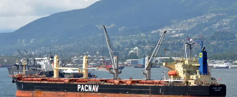ATLANTIC YUCATAN Bulk Carrier IMO 9336854 photo 8