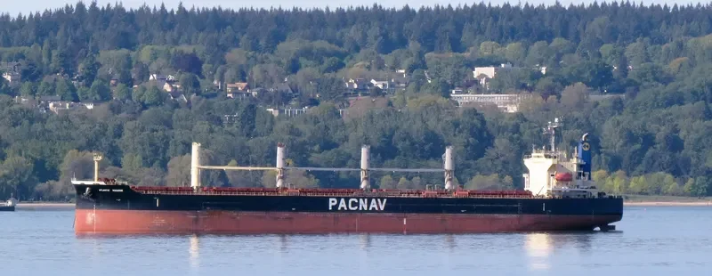 ATLANTIC YUCATAN Bulk Carrier IMO 9336854 photo 9