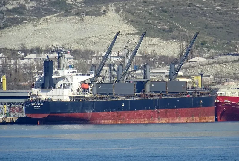 VEGA ROSE Bulk Carrier IMO 9336866