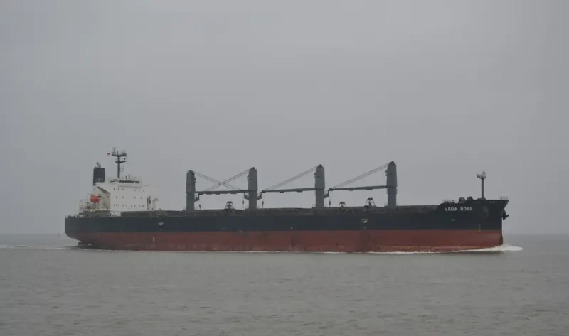 VEGA ROSE Bulk Carrier IMO 9336866 photo 2