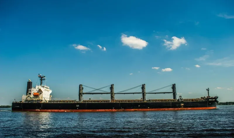 VEGA ROSE Bulk Carrier IMO 9336866 photo 3