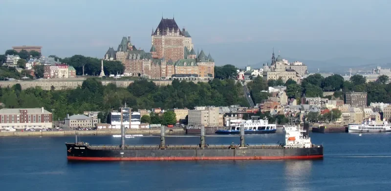 VEGA ROSE Bulk Carrier IMO 9336866 photo 4