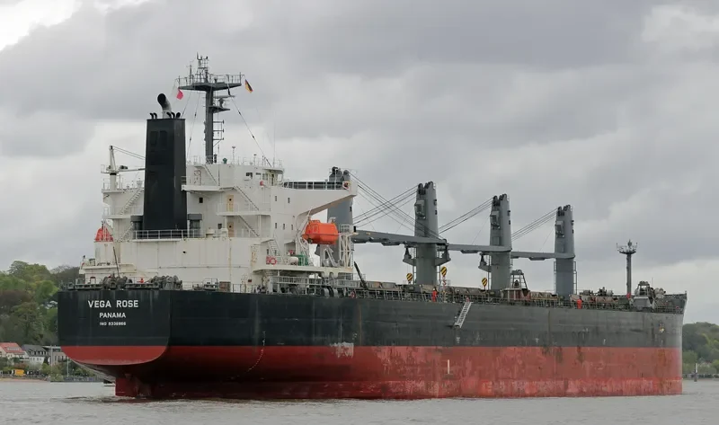 VEGA ROSE Bulk Carrier IMO 9336866 photo 5