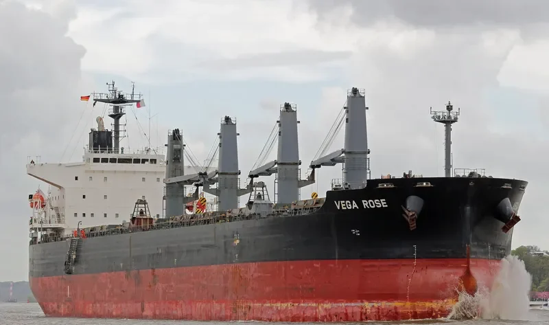 VEGA ROSE Bulk Carrier IMO 9336866 photo 6