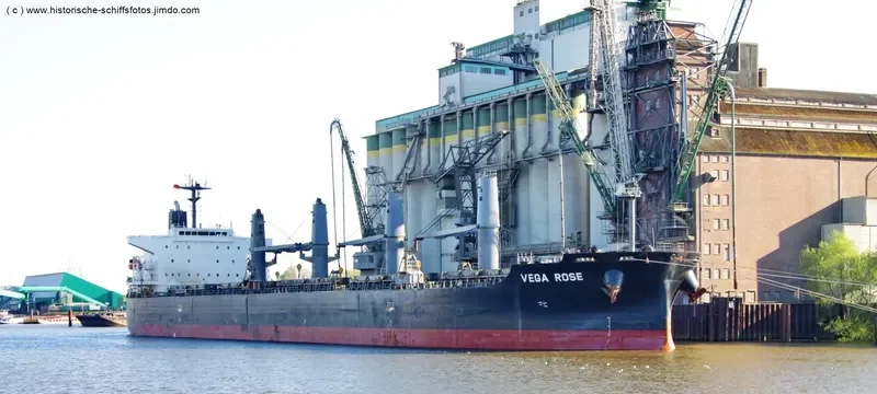 VEGA ROSE Bulk Carrier IMO 9336866 photo 7