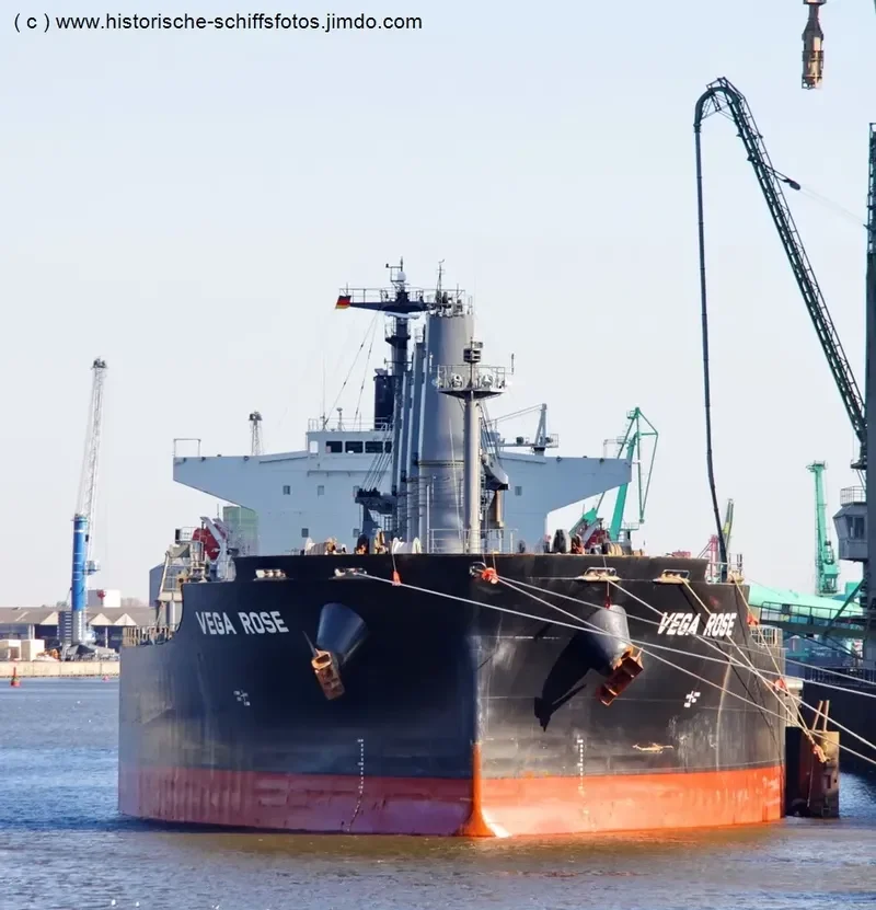 VEGA ROSE Bulk Carrier IMO 9336866 photo 8
