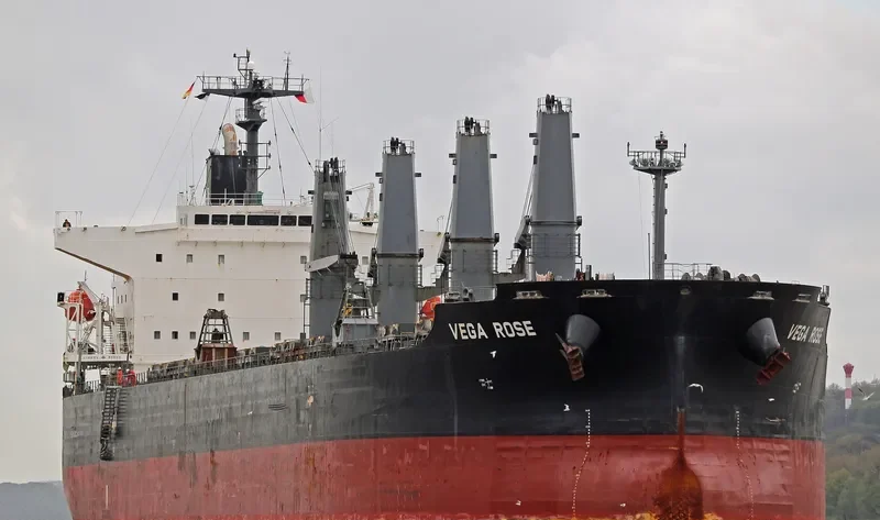 VEGA ROSE Bulk Carrier IMO 9336866 photo 9