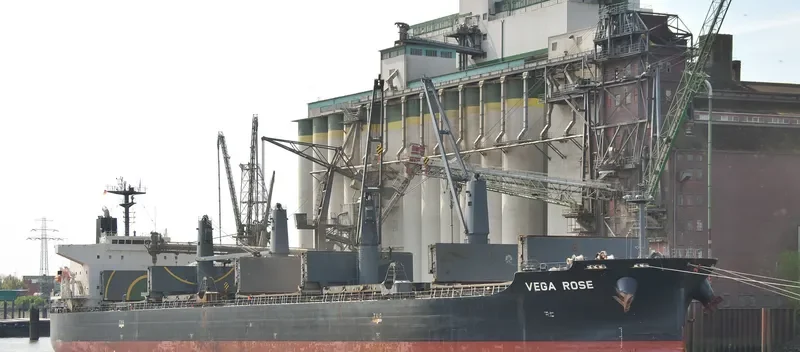 VEGA ROSE Bulk Carrier IMO 9336866 photo 10