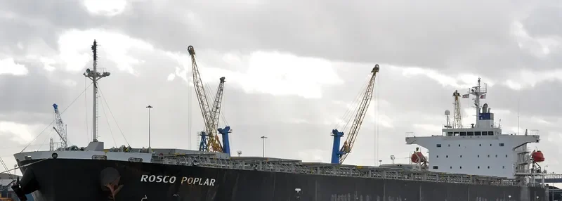 ROSCO POPLAR Bulk Carrier IMO 9336878