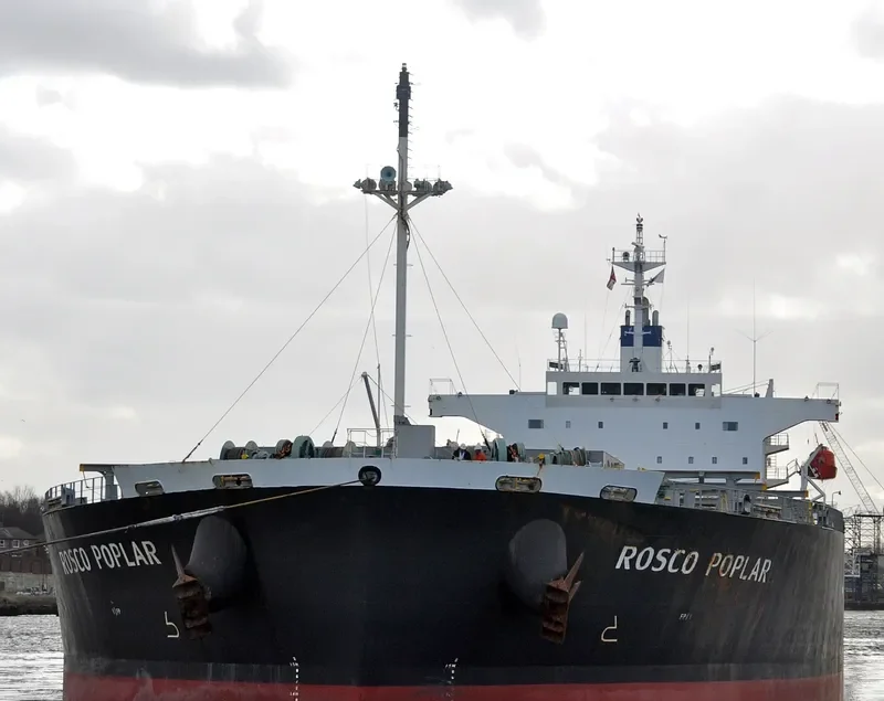 ROSCO POPLAR Bulk Carrier IMO 9336878 photo 2