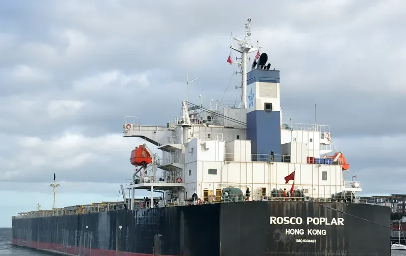 ROSCO POPLAR Bulk Carrier IMO 9336878 photo 3