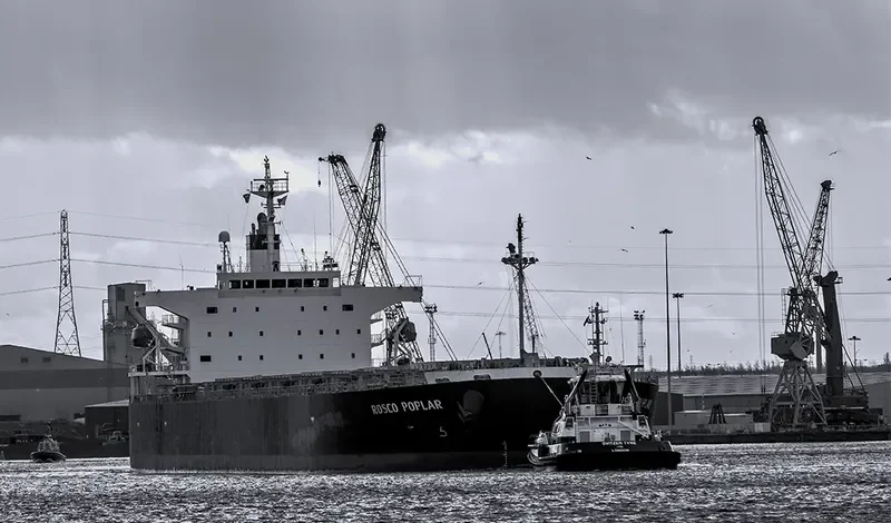 ROSCO POPLAR Bulk Carrier IMO 9336878 photo 5