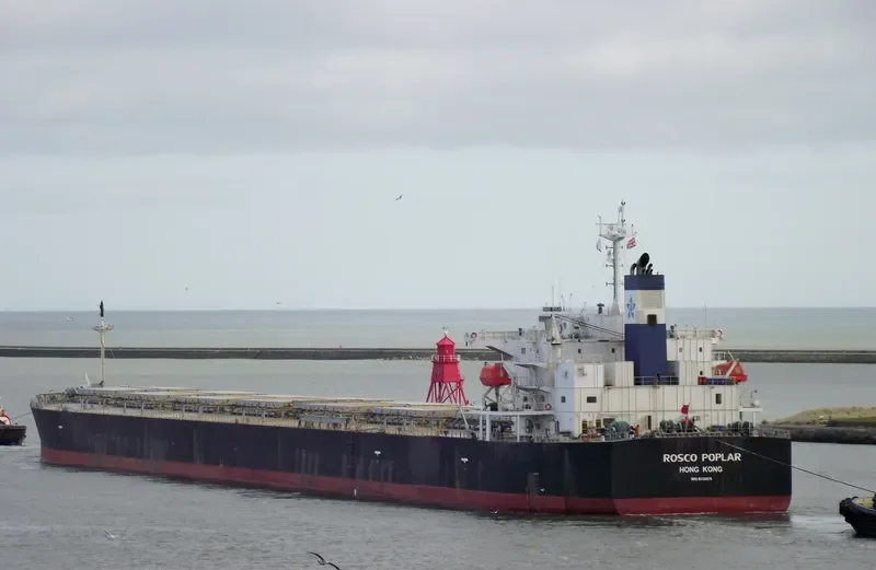 ROSCO POPLAR Bulk Carrier IMO 9336878 photo 6