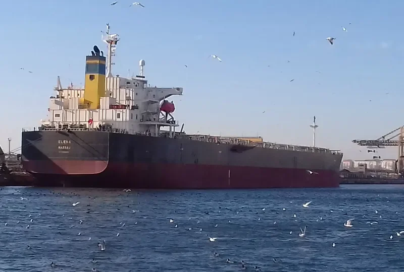 ELENA Bulk Carrier IMO 9336880
