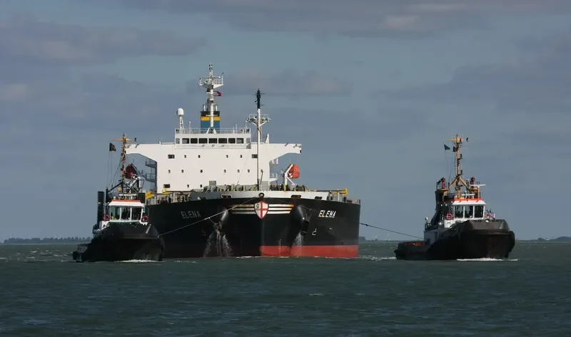 ELENA Bulk Carrier IMO 9336880 photo 3