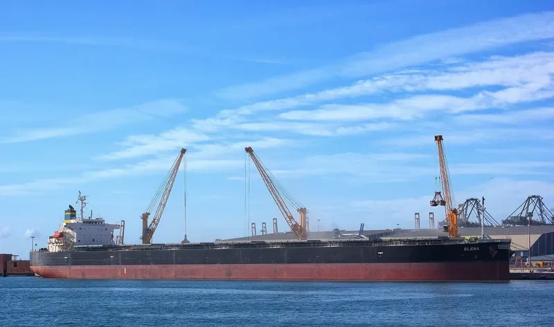 ELENA Bulk Carrier IMO 9336880 photo 4