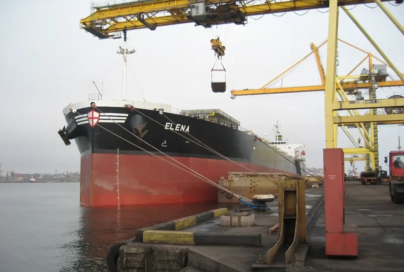 ELENA Bulk Carrier IMO 9336880 photo 13