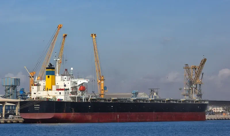 ELENA Bulk Carrier IMO 9336880 photo 19