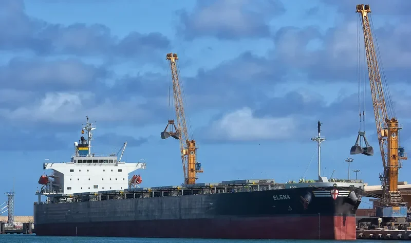 ELENA Bulk Carrier IMO 9336880 photo 21