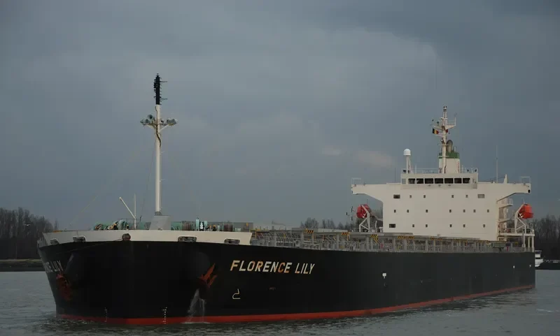 ELENA Bulk Carrier IMO 9336880 photo 36