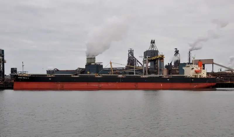 LORIENT Bulk Carrier IMO 9336892 photo 8