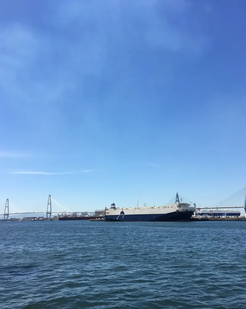 TOYOFUJI MARU General Cargo IMO 9336919 photo 2