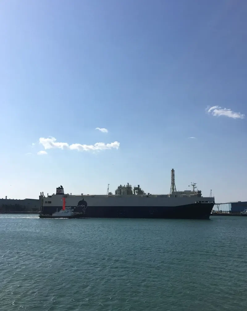 TOYOFUJI MARU General Cargo IMO 9336919 photo 3