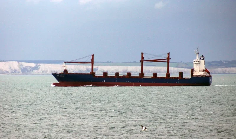 SONGA IRIDIUM Container Ship IMO 9337030 photo 2