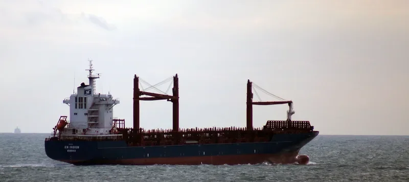 SONGA IRIDIUM Container Ship IMO 9337030 photo 3