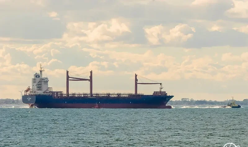 SONGA IRIDIUM Container Ship IMO 9337030 photo 4
