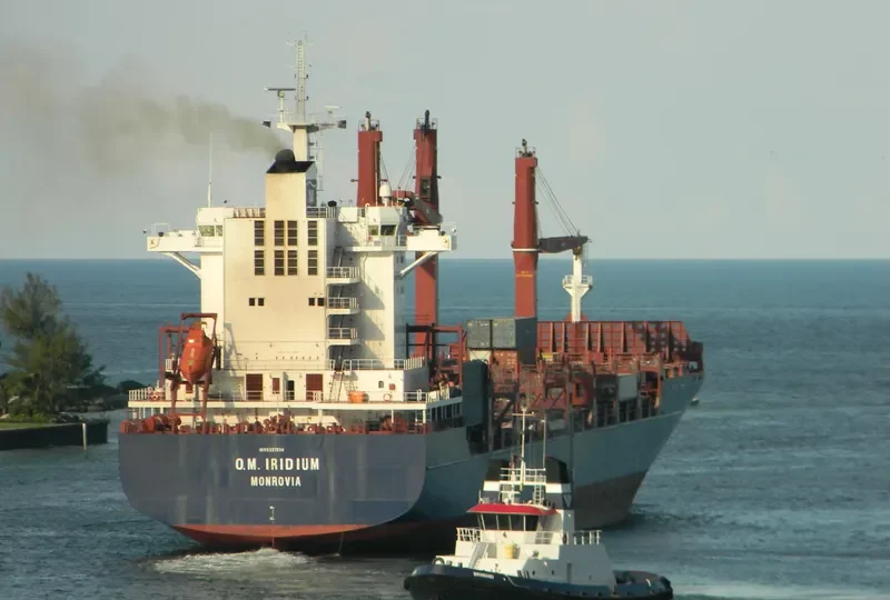 SONGA IRIDIUM Container Ship IMO 9337030 photo 10