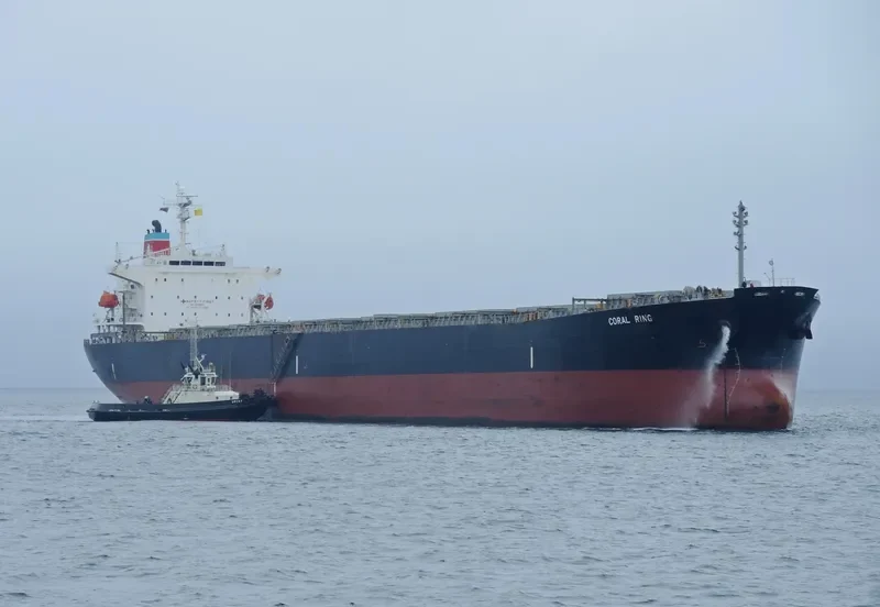 CORAL RING Bulk Carrier IMO 9337092 photo 2