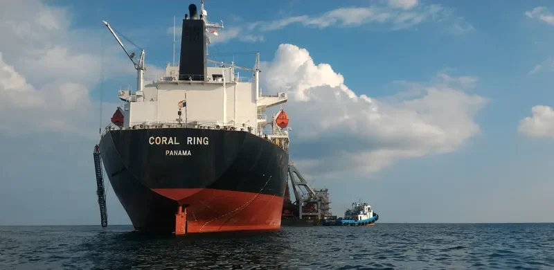 CORAL RING Bulk Carrier IMO 9337092 photo 5