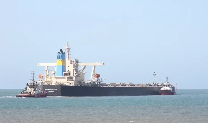 MOUNT KINABALU Bulk Carrier IMO 9337107